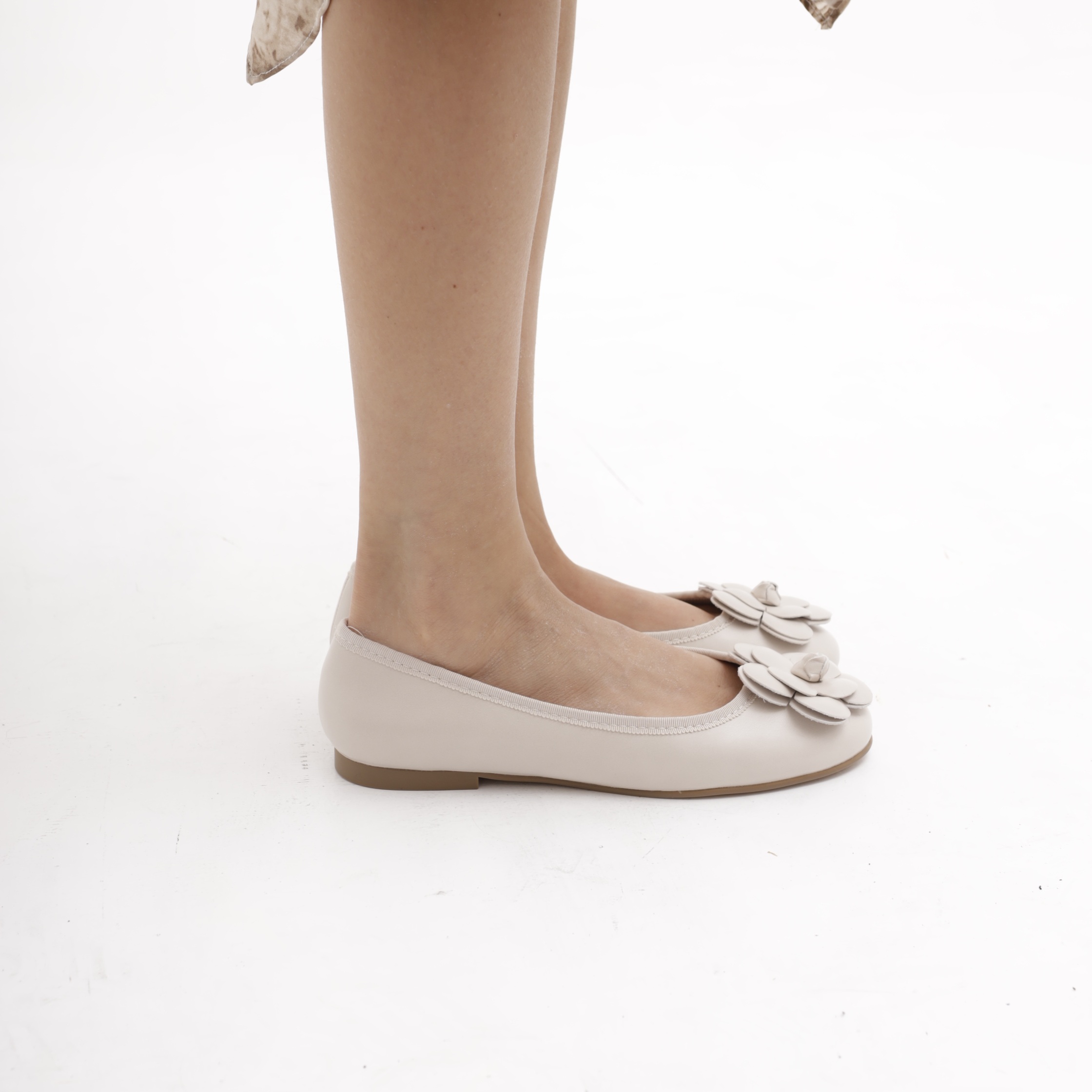 ლოფერი CRICHIC