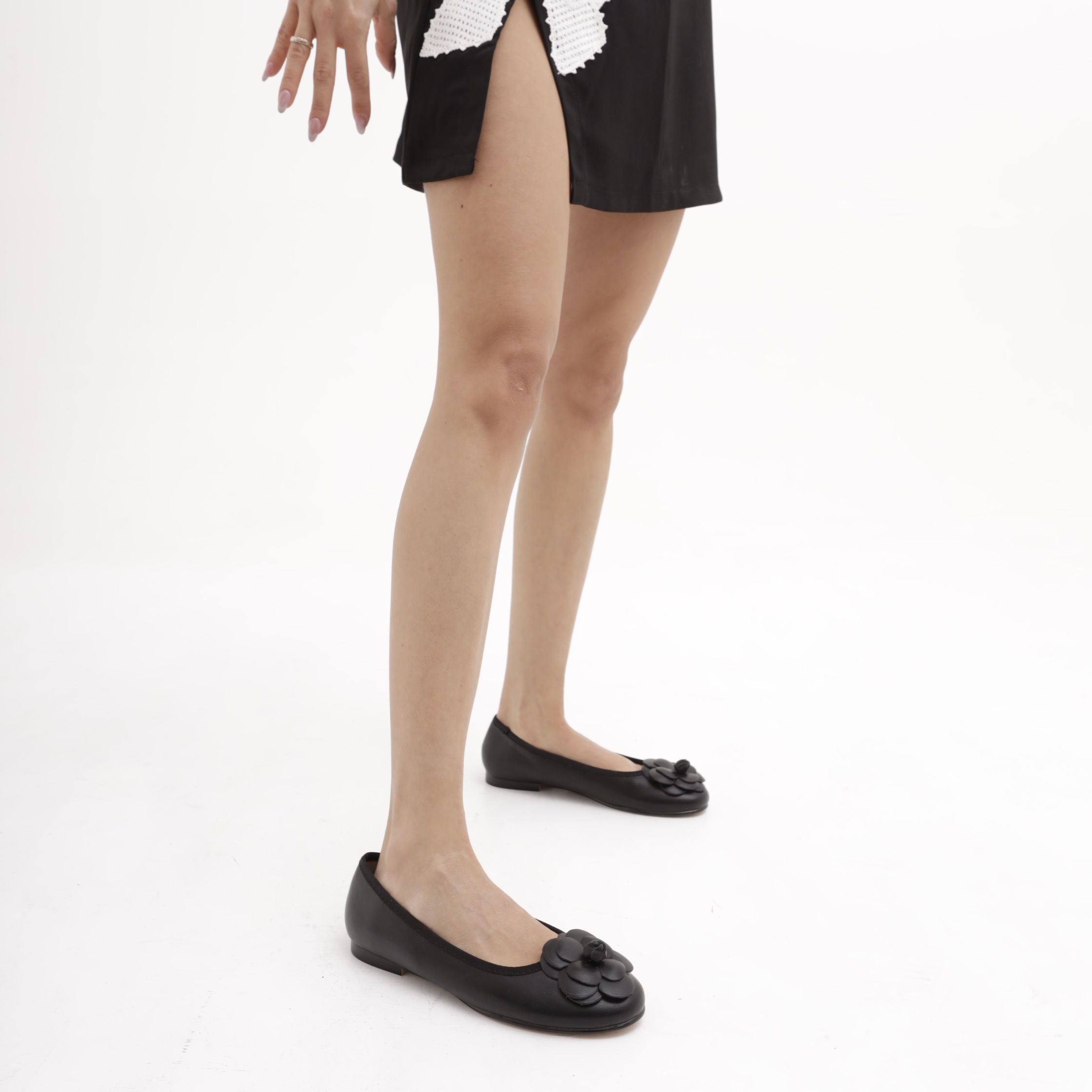 ლოფერი CRICHIC